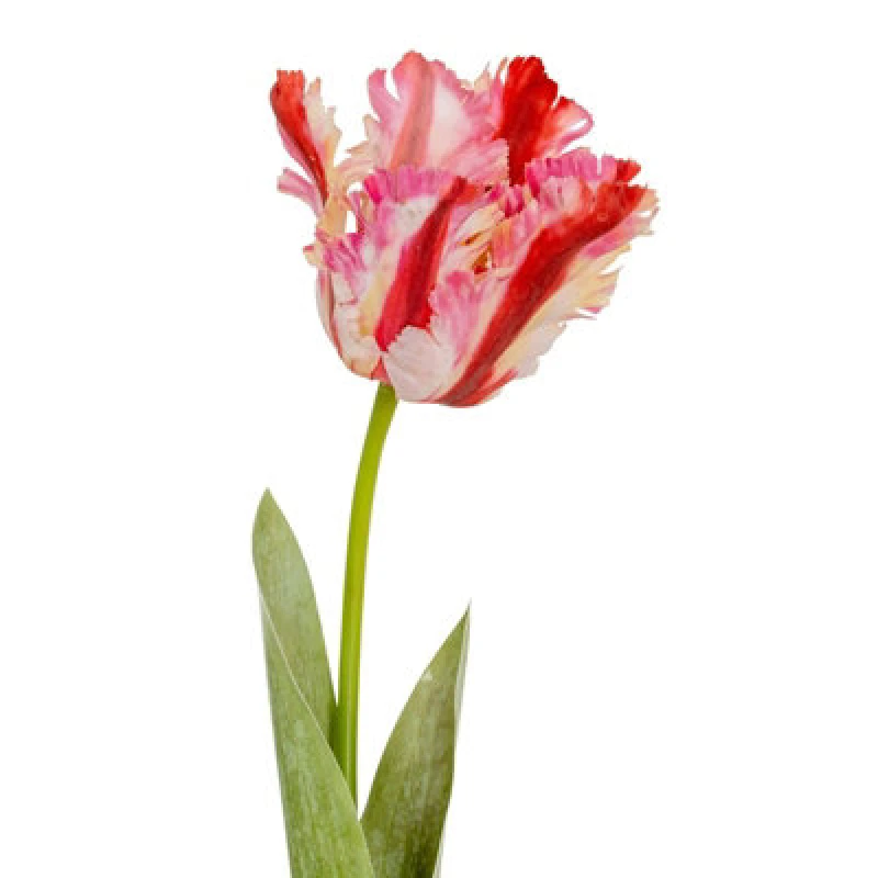 Image of Hill Interiors Parrot Tulip Artificial Flower Green/pink (One Size)