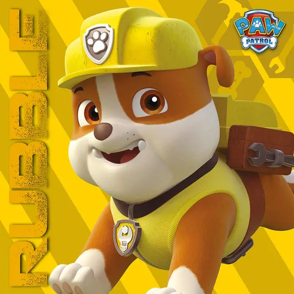 Image of Paw Patrol (Rubble On The Double) 40x40 Canvas DC95934