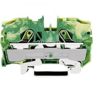 Image of PG terminal 10 mm Pull spring Configuration Terre Green