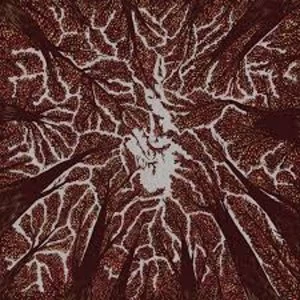 Image of Trash Boat - Crown Shyness Vinyl