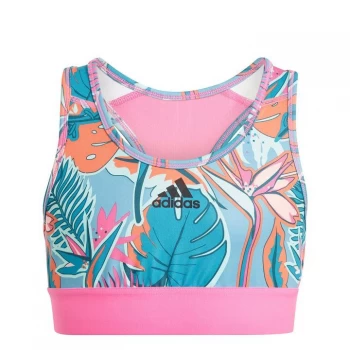 Image of adidas AOP Sports Bra - Pink/Blue