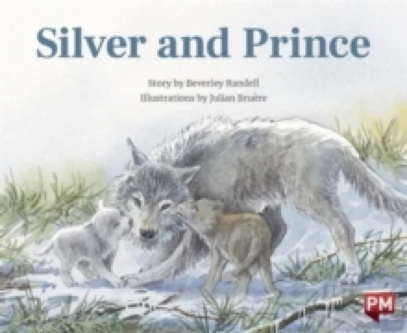 Image of SILVER AND PRINCE Paperback