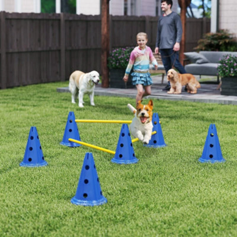 Image of PawHut Dog Agility Equipment Set, Three Piece Adjustable Height Jumping, Blue D07-059V00BU