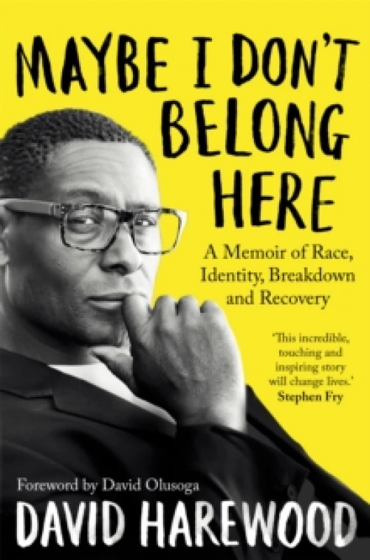 Image of Maybe I Don't Belong Here : A Memoir of Race, Identity, Breakdown and Recovery Paperback / softback