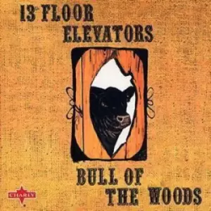 Image of The 13th Floor Elevators - Bull of the Woods CD Album - Used