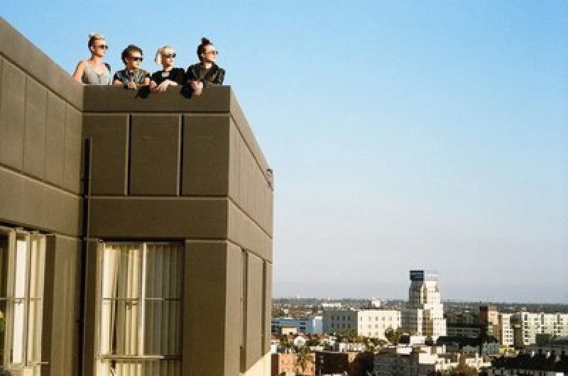 Image of PINS - Wild Nights CD Album - Used