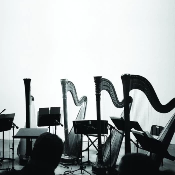 Image of Behavior - Spirits & Embellishments Vinyl