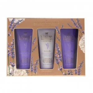 Image of Grace Cole CalTri 3Pce BX04