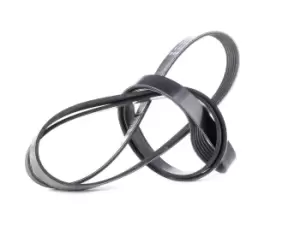 Image of DAYCO V-ribbed belt VW,MERCEDES-BENZ,OPEL 6PK2120 1340527,93185756,1050417 98BB6C301CA,9091602592,0079978452,0079978492,0089973492,89973492,1340527