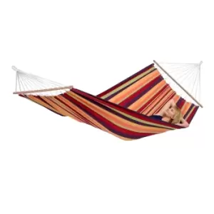 Image of 340364 Ds amazonas brasilia tropical