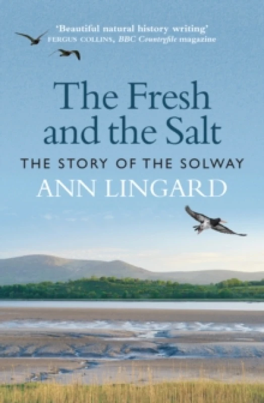 Image of The Fresh and the Salt : The Story of the Solway Paperback / softback