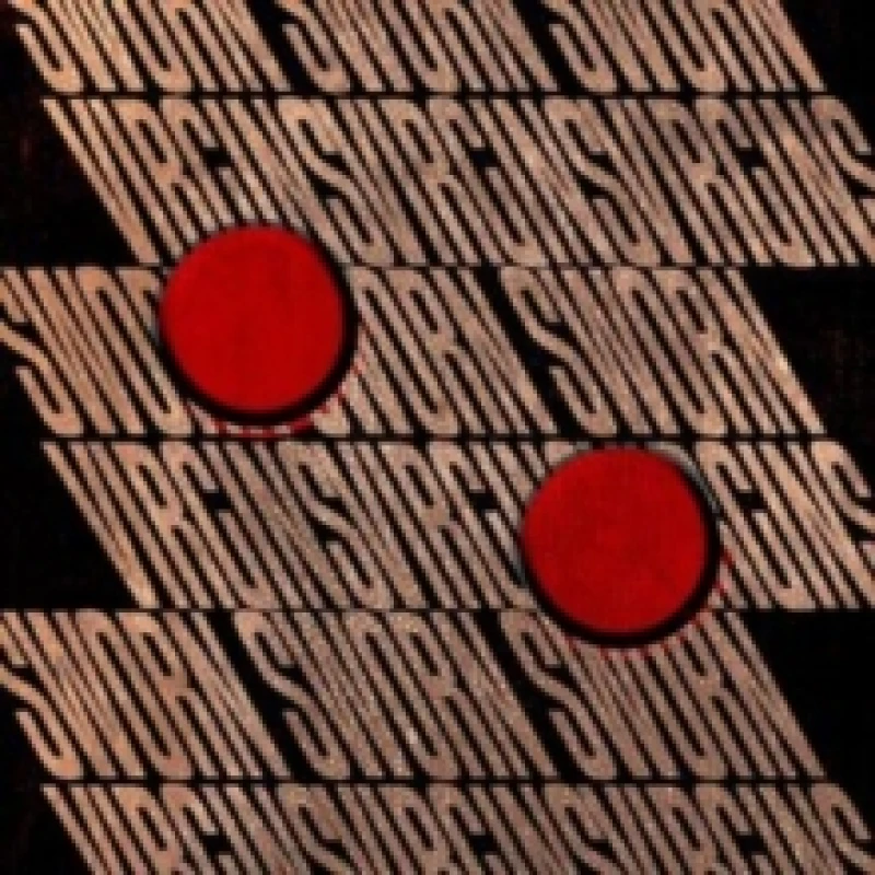 Image of Sworn Virgins Vinyl