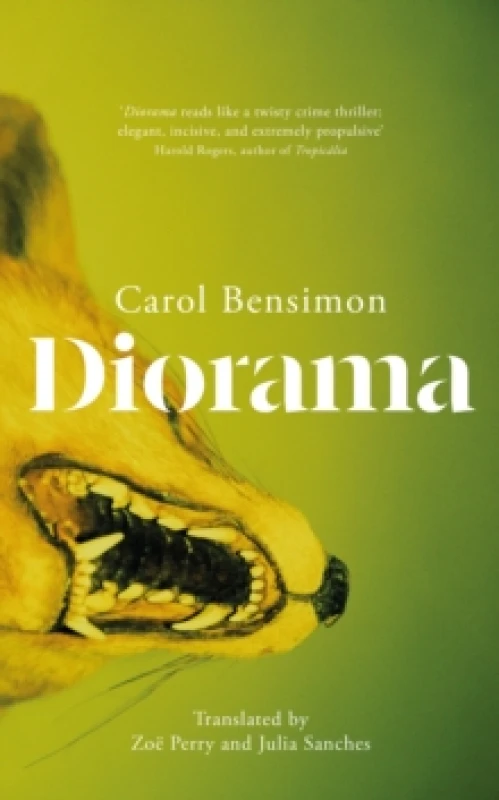 Image of Diorama : an engrossing suspense novel set in 1980s Brazil Hardback