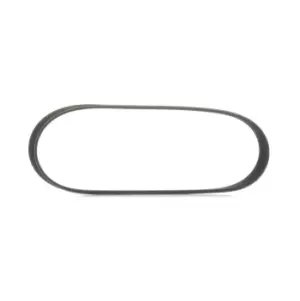 Image of RIDEX V-ribbed belt 305P0495 Serpentine belt,Auxiliary belt PEUGEOT,CITROEN,MINI,207 (WA_, WC_),207 CC (WD_),208 I Schragheck (CA_, CC_),207 SW (WK_)