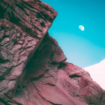 Image of Bonobo - Linked Vinyl