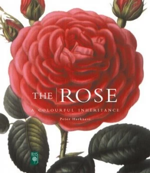 Image of The Rose by Peter Harkness Hardback