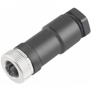 Image of Binder 99 0436 19 05