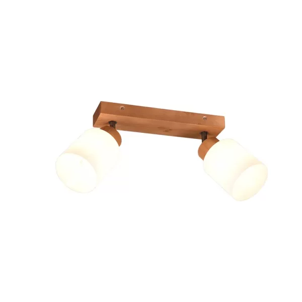 Image of Assam Vintage 2 Light Twin Ceiling Spotlight natural finish