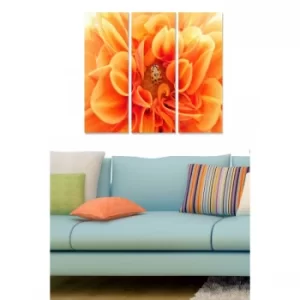 Image of MDF2798610 Multicolor Decorative MDF Painting (3 Pieces)