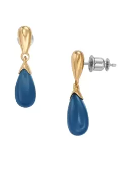 Image of Ladies Skagen Jewellery Sea Glass Earrings