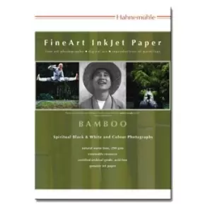 Image of Hahnemuhle BAMBOO 290gsm 17" Roll 12mtr