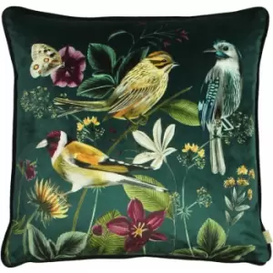 Image of Evans Lichfield Midnight Garden Piped Edge Cushion Cover, Birds, 43 x 43 Cm