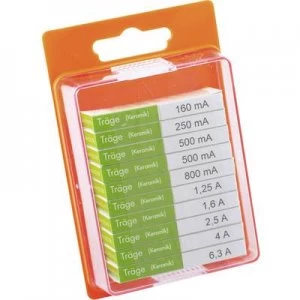 Image of ESKA 122850 Micro fuse set x L 5mm x 20 mm time delay T Content 100 pcs