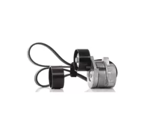 Image of SKF V-ribbed belt set VKMA 36104 Serpentine belt kit,Auxiliary belt kit OPEL,RENAULT,NISSAN,Vivaro A Kastenwagen (X83),Vivaro A Combi (X83)