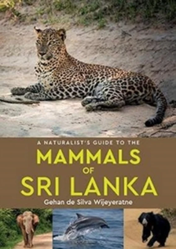 Image of A Naturalist's Guide to the Mammals of Sri Lanka Paperback / softback