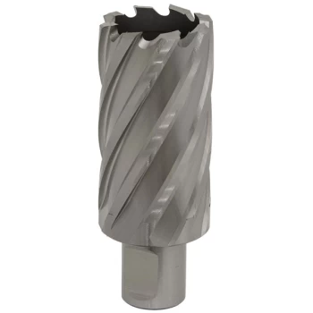 Image of Worksafe RBHSS33L Rotabor Cutter HSS Ø33mm - Cut Depth 50mm