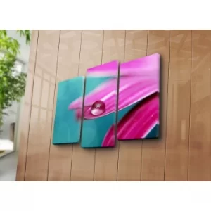 Image of 3NATPAT-22 Multicolor Decorative Canvas Painting (3 Pieces)