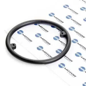 Image of DR.MOTOR AUTOMOTIVE Gaskets VW,AUDI,MERCEDES-BENZ DRM083 038117070A,1094729,95510707000 Seal, oil cooler 038117070A,038117070A,038117070A
