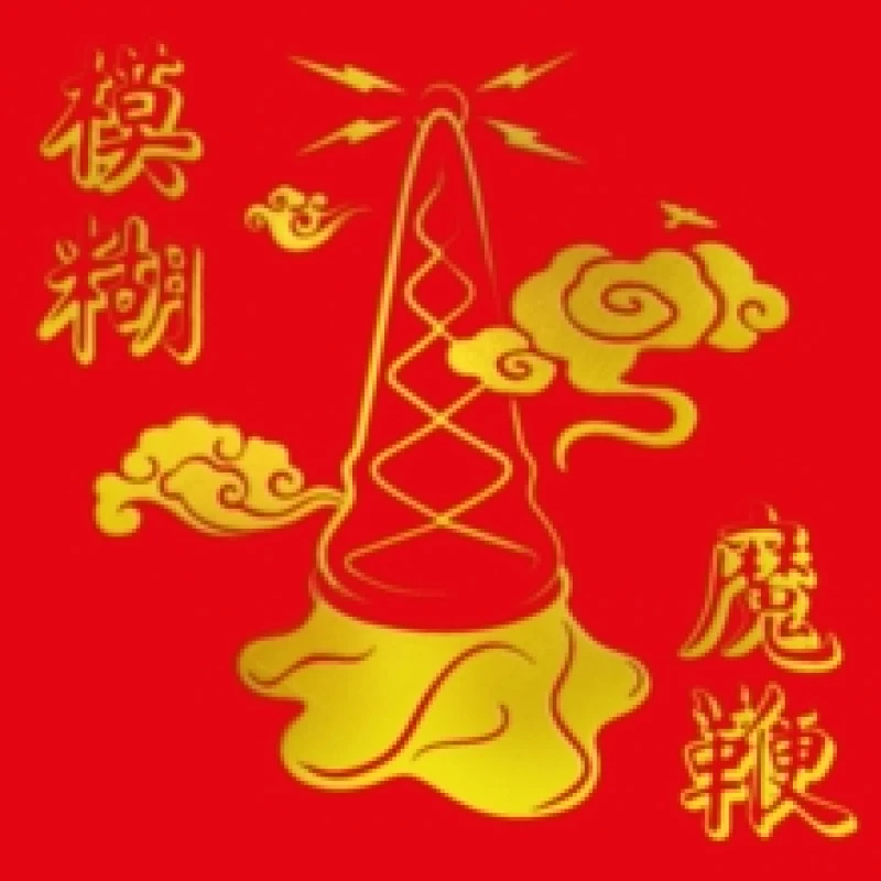 Image of The Magic Whip (10th Anniversary Edition) Vinyl