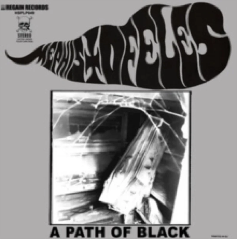 Image of A path of Black Vinyl
