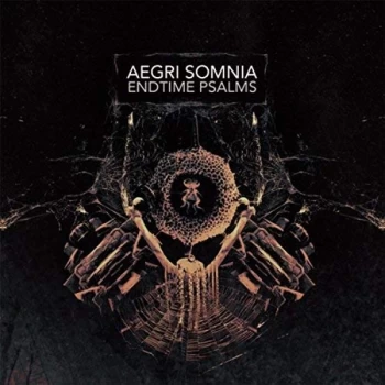 Image of Aegri Somnia - Endtime Psalms CD