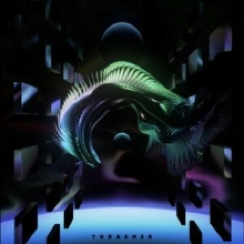 Image of Thrasher Vinyl