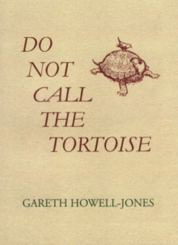 Image of Do Not Call the Tortoise Paperback / softback