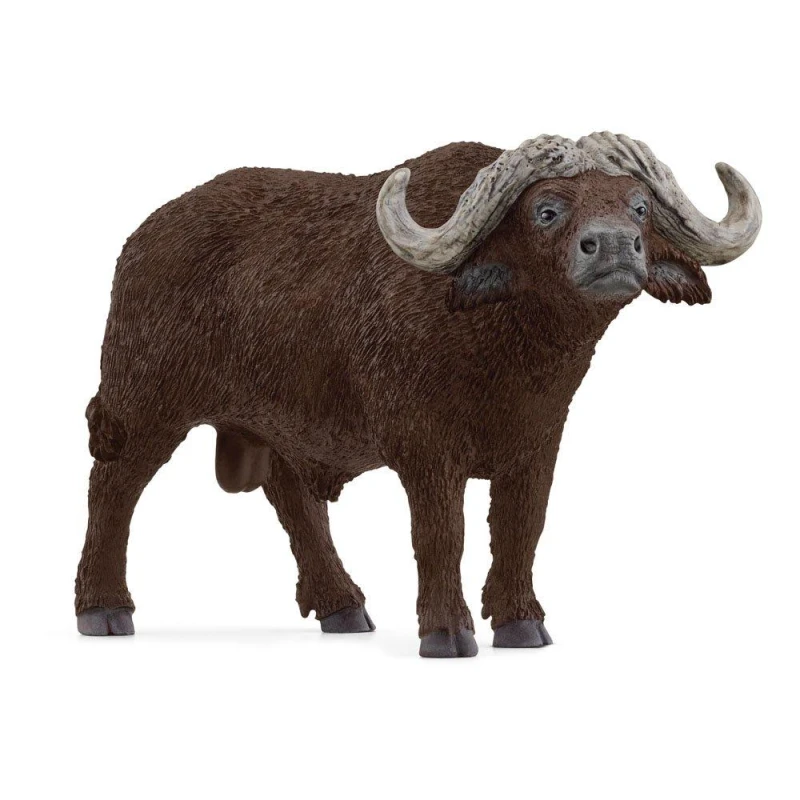 Image of Schleich African Buffalo Multi unisex