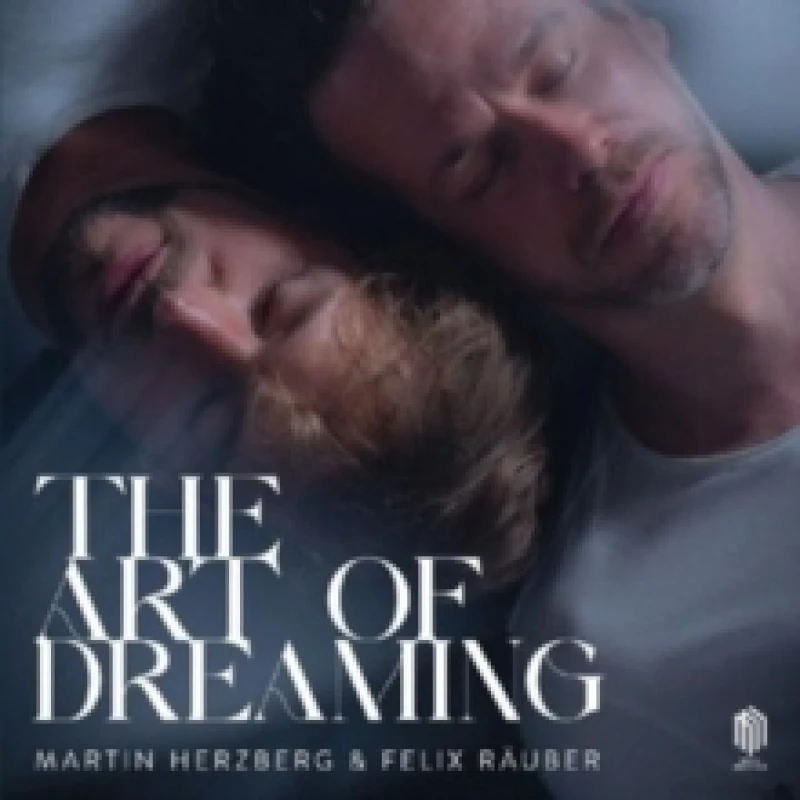 Image of Martin Herzberg & Felix Ruber: The Art of Dreaming Vinyl