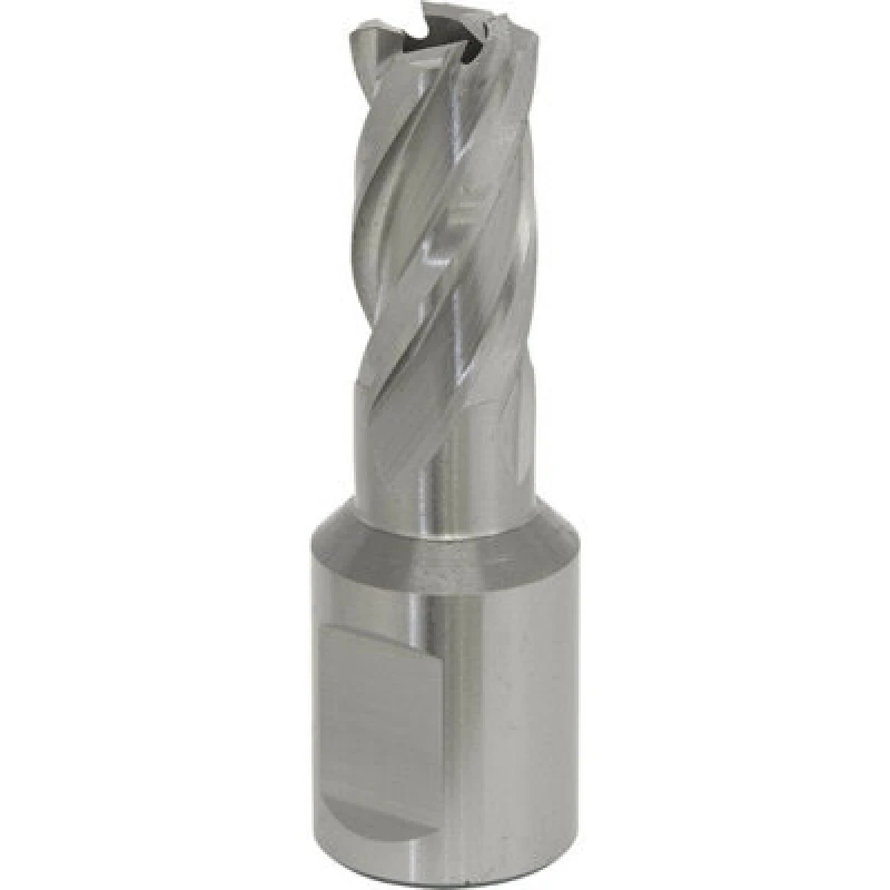 Image of Loops 12mm x 25mm Depth Rotabor Cutter - M2 Steel Annular Metal Core Drill 19mm Shank Metallics