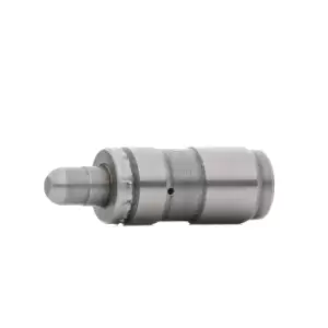 Image of TRW Engine Component Valve Guides VW,AUDI,FORD 81-33111 058103415