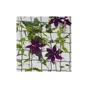 Image of Climbing Plant & Fencing Garden Mesh Outdoor Indoor Fencing Plant Support Plastic Netting for Flowers Plants Protection Cover Pest Deterrent Outdoor
