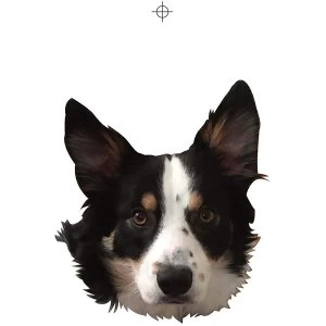 Image of Ginger Wildheart - I Wanna Be Yours Limited Edition Vinyl