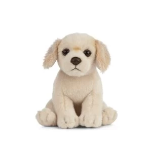 Image of Plush Golden Retriever Puppy Soft Toy