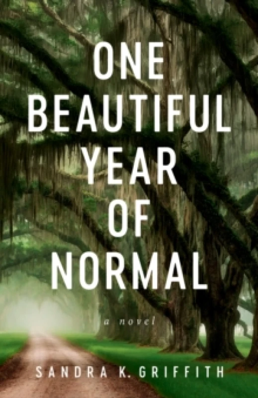 Image of One Beautiful Year of Normal : A Novel Paperback / softback