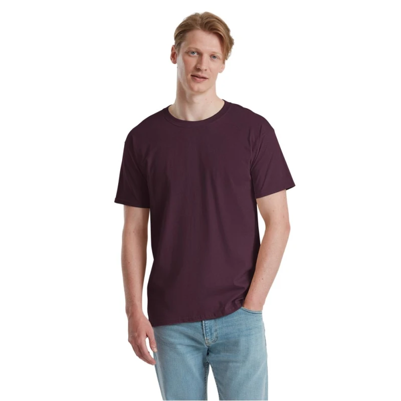 Image of Fruit Of The Loom Fruit of the Loom Men Iconic 195 Ringspun Premium Tshirt in Purple Size: 3X-Large Purple XXXL Male 5063703594738