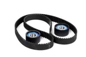 Image of SKF Timing belt kit VKMA 02383 Timing belt set,Cam belt kit OPEL,RENAULT,FIAT,Movano Kastenwagen (X70),Movano Bus (X70)