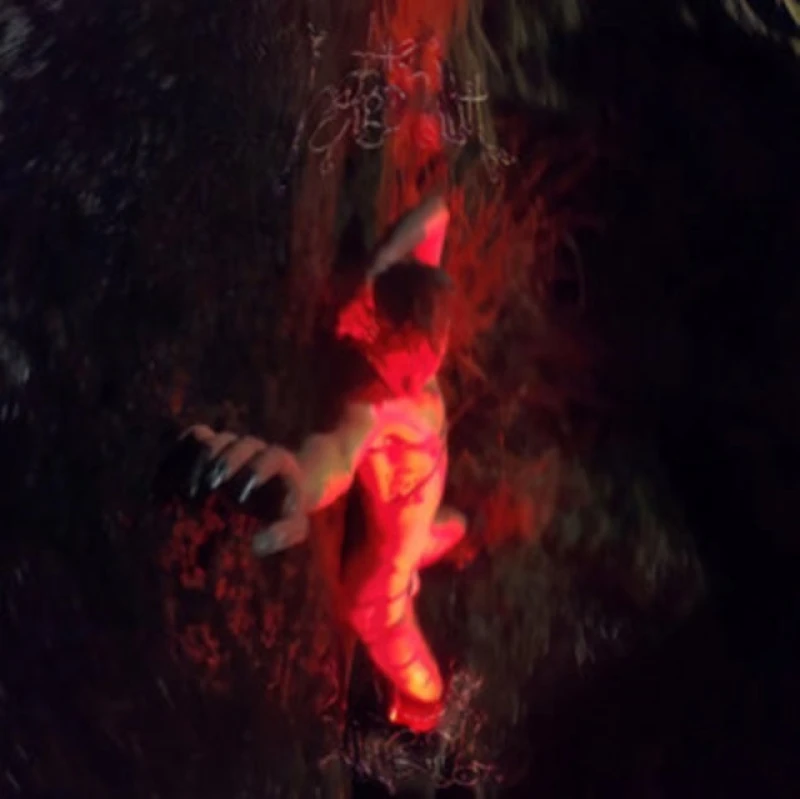 Image of The Horgenaith CD / Album