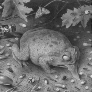 Image of Fort Bak Lyset by Tusmorke Vinyl Album