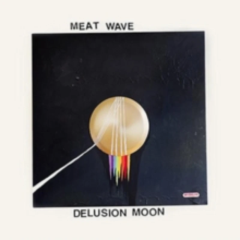 Image of Delusion Moon CD / Album